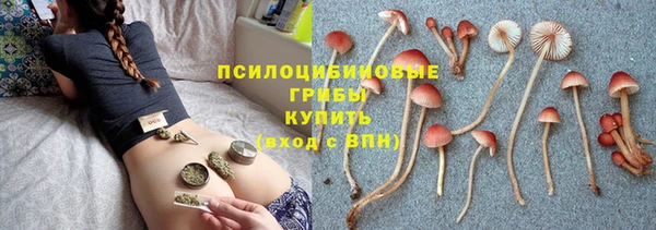 2c-b Абдулино