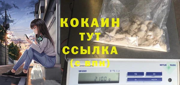 молекула духа Алексин