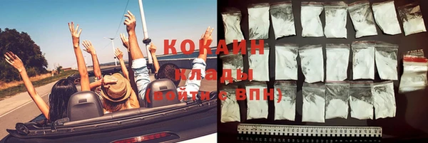 молекула духа Алексин