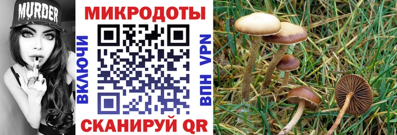 Псилоцибиновые грибы прущие грибы  Урус-Мартан 